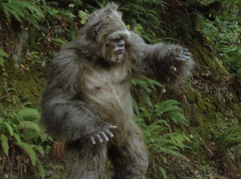 yeti found in Bhutan